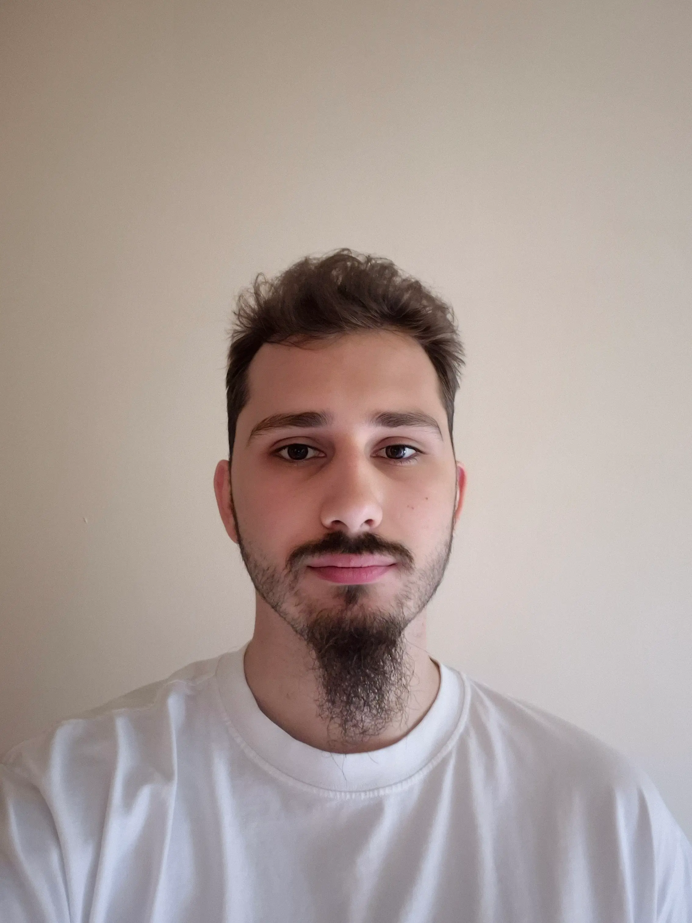 Lovro Majtan (Software Developer)